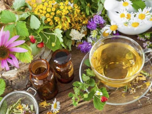 تصویر 5 از فروش عصاره گیاه بیدمشک + قیمت خرید به صرفه